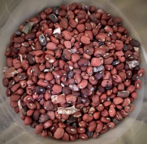 collecting, saving, storing and packaging seeds