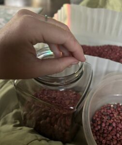 collecting, saving, storing and packaging seeds