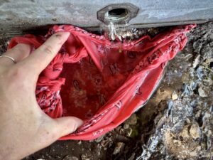 Trough Cleaning Day(s)!