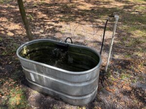 Trough Cleaning Day(s)!