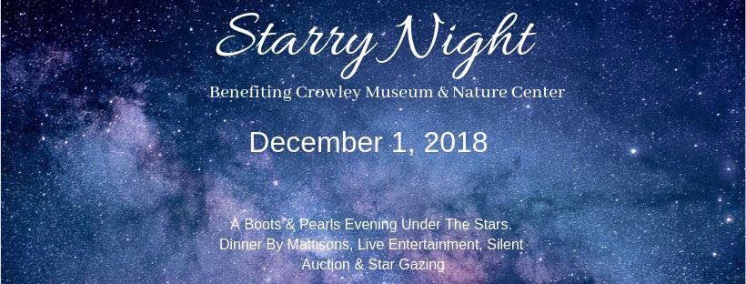 Starry Nights Fundraiser