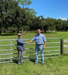New Cracker Cows by Duke Kaylor and Pelican Property Inspections. With the help of Mr. Ronny Fletcher