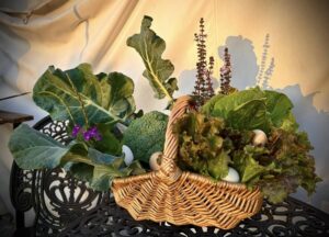 Happy Harvesting in the Crowley food forest