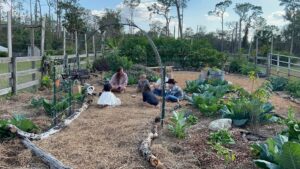 Happy Harvesting in the Crowley food forest