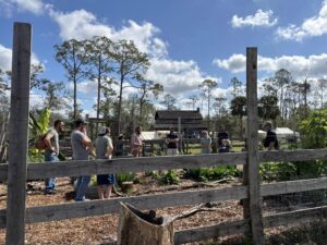 Happy Harvesting in the Crowley food forest