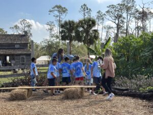 Happy Harvesting in the Crowley food forest