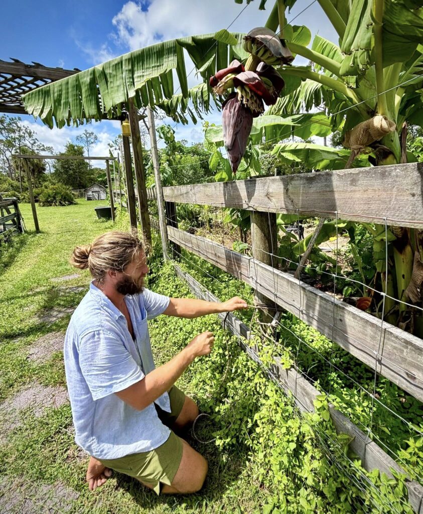 {{brizy_dc_image_alt entityId=