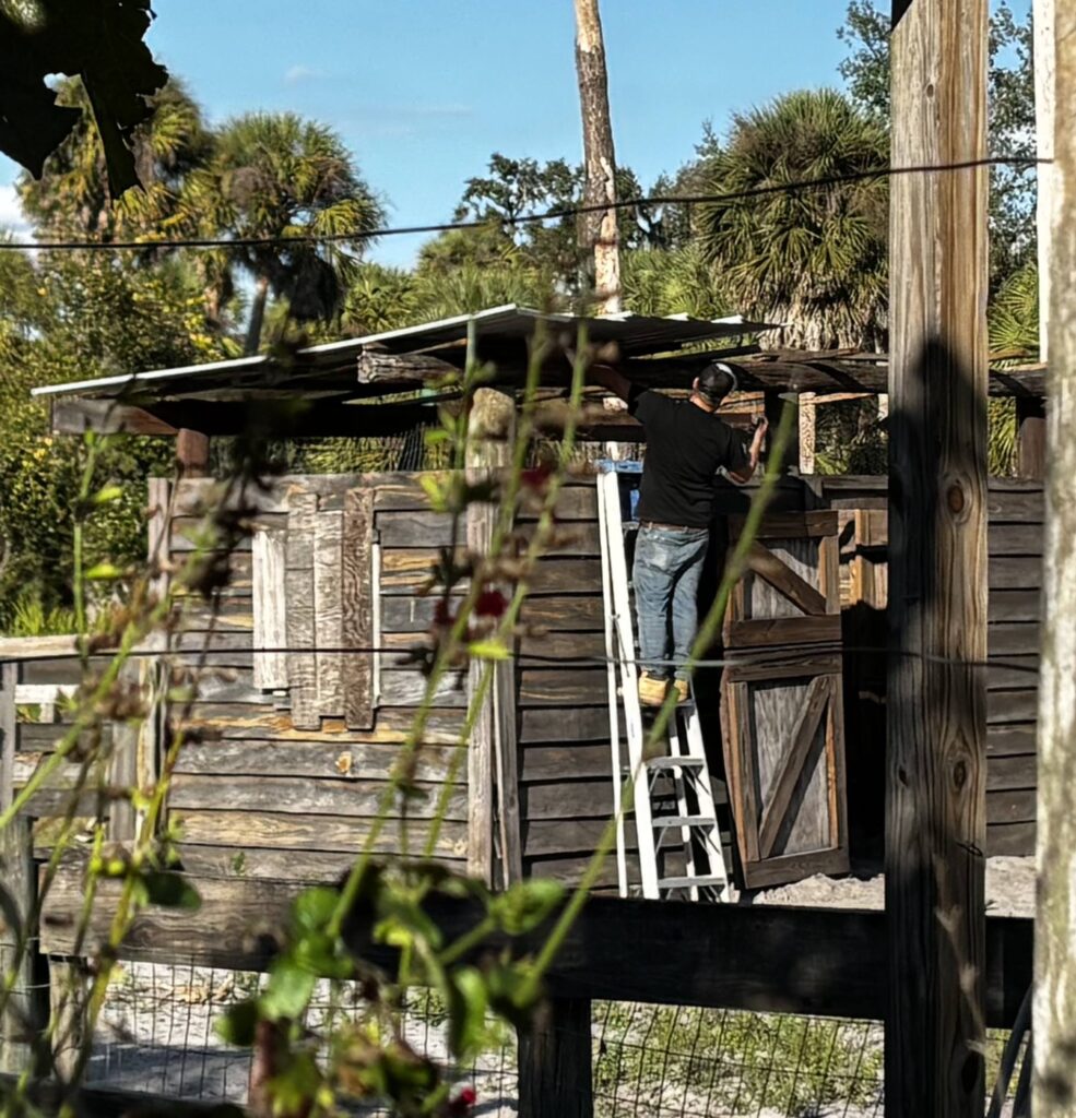 {{brizy_dc_image_alt entityId=