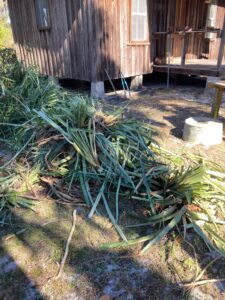 Crowley Land Maintenance