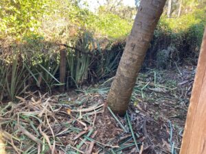 Crowley Land Maintenance