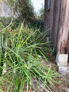 Crowley Land Maintenance 