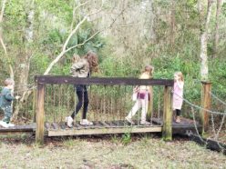 Childrens discovery trail