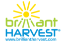brilliant harvest